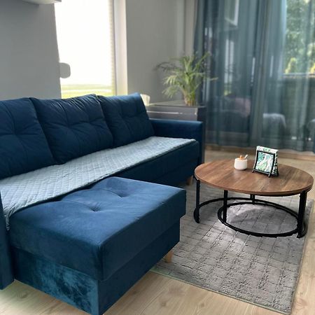 Apartament U Buni Вроцлав Экстерьер фото