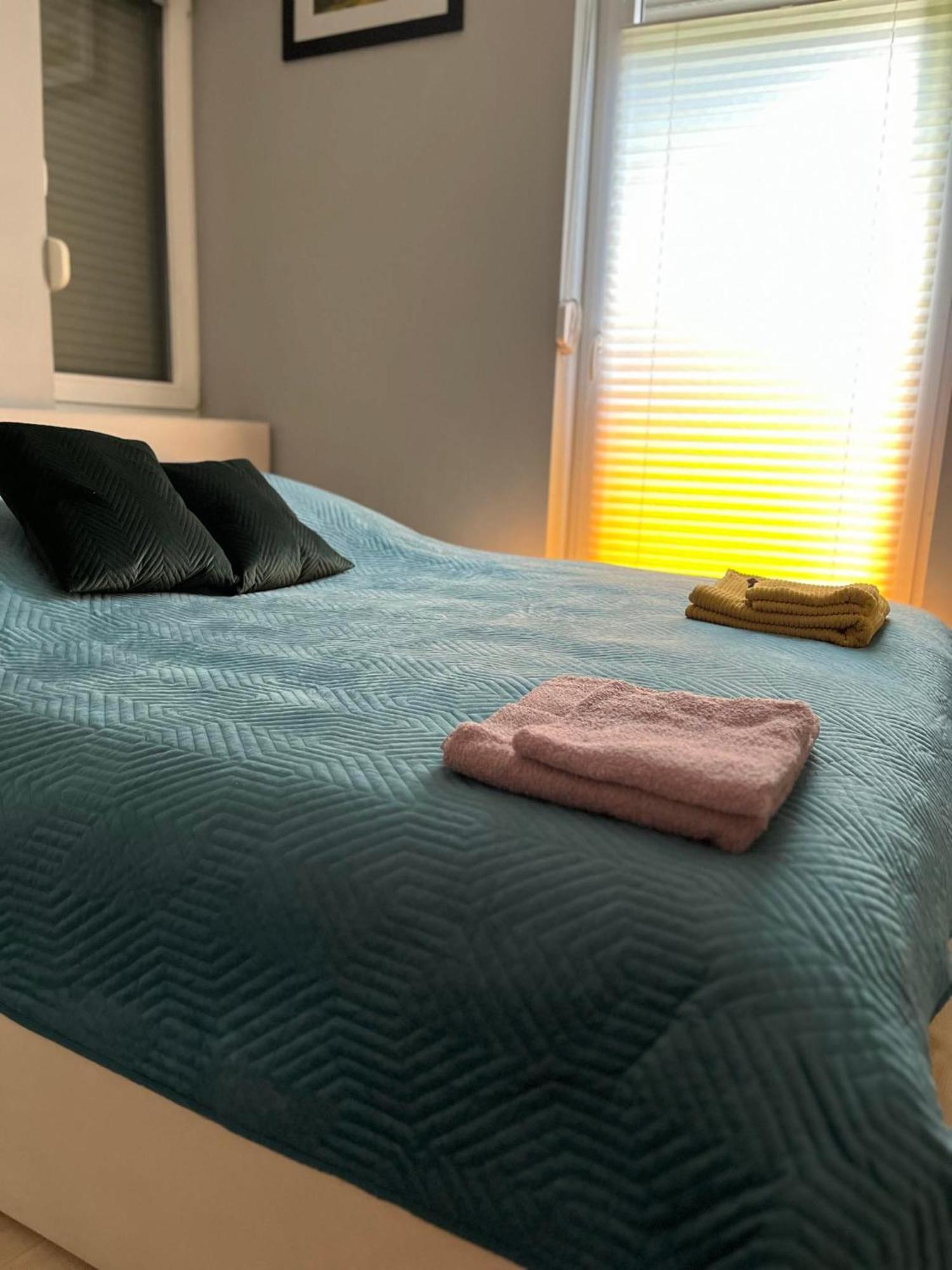 Apartament U Buni Вроцлав Экстерьер фото